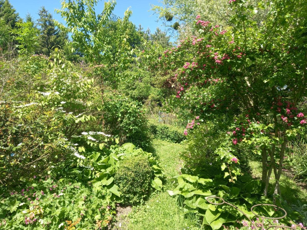 La Haie A Cerf Watronville Buitenkant foto